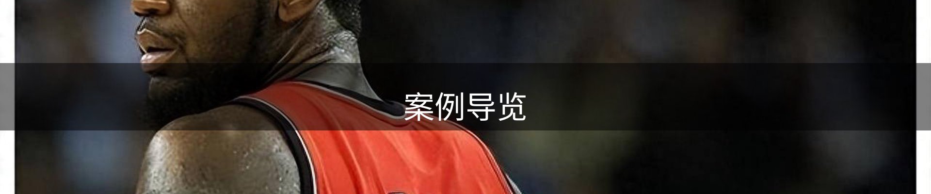案例导览